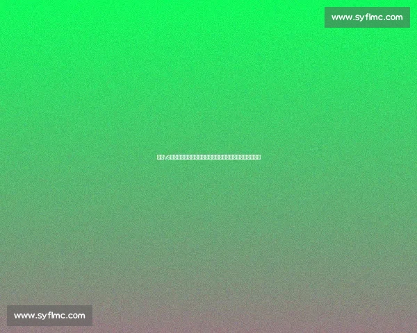 国安vs申鑫强强对话引爆焦点之战新赛季走向成关键时刻悬念升级